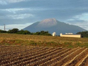 IMG_0114.jpg
