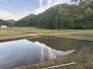 IMG_0607.jpeg