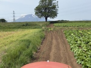 IMG_0609.jpeg