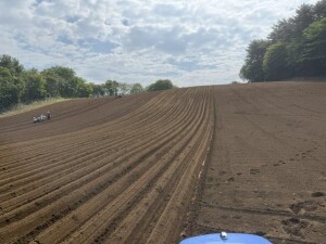 IMG_0622.jpeg