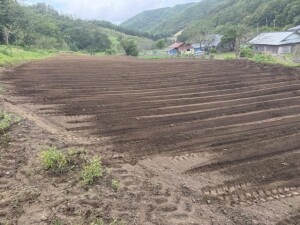 IMG_0633.jpeg