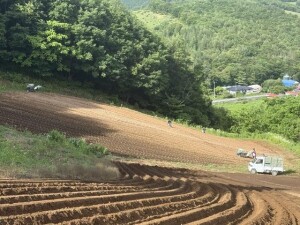 IMG_0648.jpeg