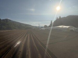 IMG_0668.jpeg