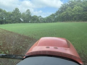 IMG_0713.jpeg