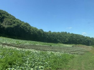 IMG_0741.jpeg