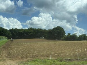 IMG_0744.jpeg