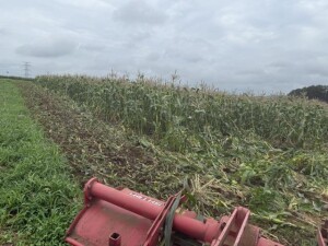 IMG_0778.jpeg