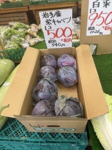 IMG_0827.jpeg