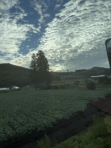 IMG_0844.jpeg