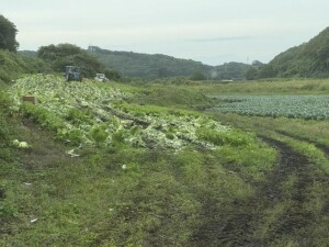 IMG_0848.jpeg