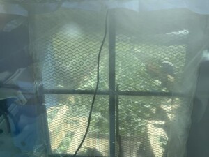 IMG_0865.jpeg