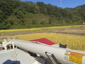 IMG_0867.jpeg