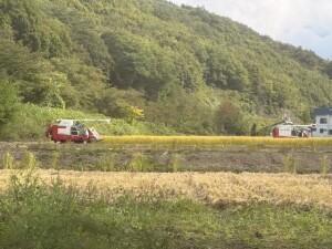 IMG_0876.jpeg