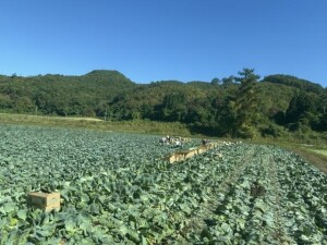 IMG_0891.jpeg