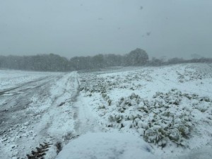 IMG_0913.jpeg